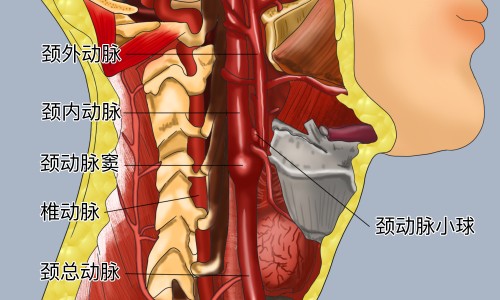 半夜突然出汗头晕网 | 半夜突然头晕,半夜突然头晕