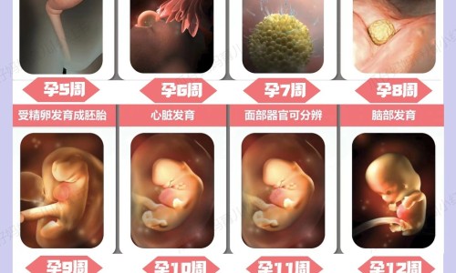 半夜突然出汗头晕网 | 半夜突然头晕,半夜突然头晕
